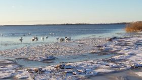 Strand4 (1).JPG